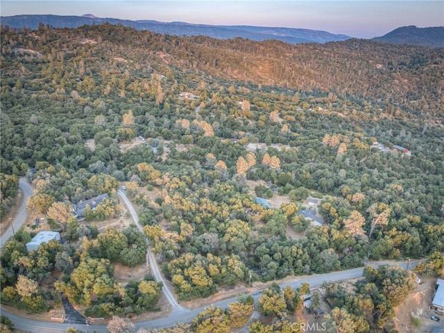 40955 Jean Rd W, Oakhurst, CA 93644 - photo 67