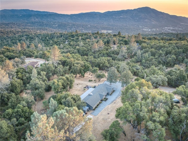 40955 Jean Rd W, Oakhurst, CA 93644 - photo 60