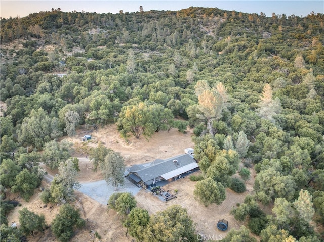 40955 Jean Rd W, Oakhurst, CA 93644 - photo 59