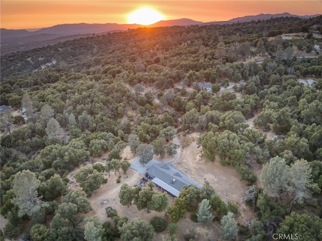 40955 Jean Rd W, Oakhurst, CA 93644 - photo 66