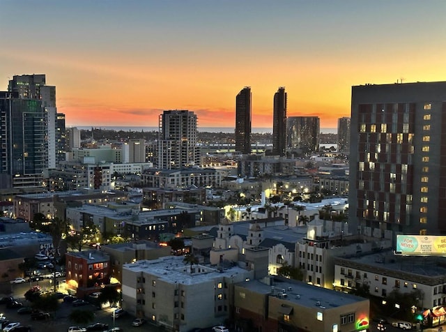 1080 Park Blvd Unit 1502, San Diego, CA 92101 - photo 10