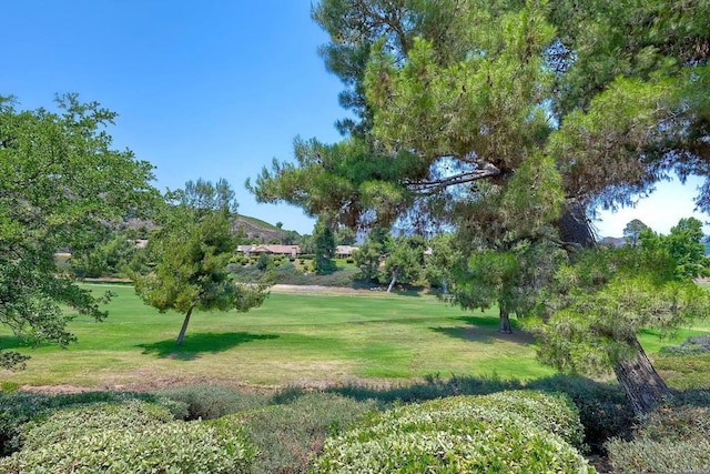 4240 Olivos Ct, Fallbrook, CA 92028 - photo 23