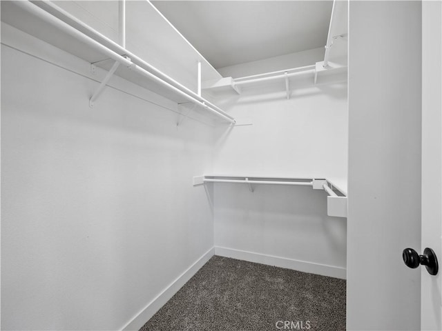 5620 Ailanthus St, Phelan, CA 92371 - photo 15