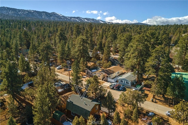525 Pine Ln, Sugarloaf, CA 92386 - photo 35