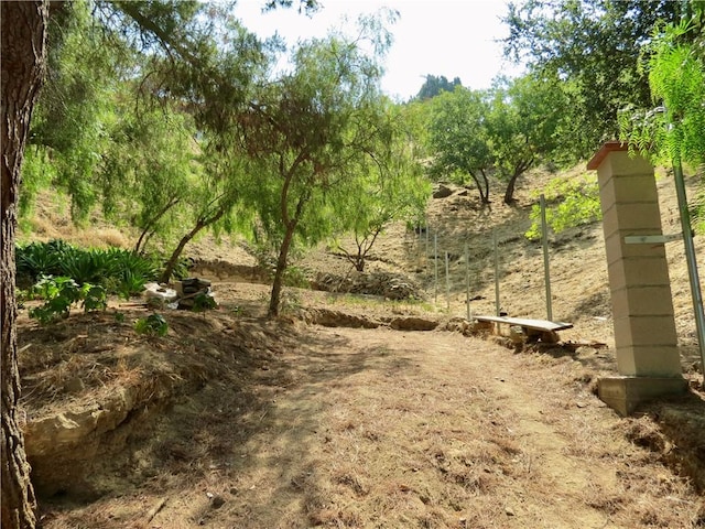 1539 N Cliff Dr, Los Angeles, CA 90065 - photo 1