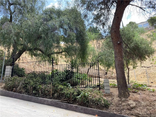 1539 N Cliff Dr, Los Angeles, CA 90065 - photo 2
