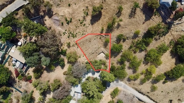 1539 N Cliff Dr, Los Angeles, CA 90065 - photo 12