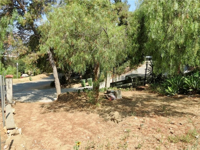 1539 N Cliff Dr, Los Angeles, CA 90065 - photo 8