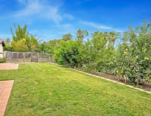 1007 Eolus Ave, Encinitas, CA 92024 - photo 39