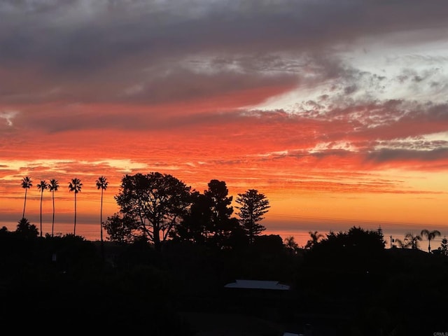 1007 Eolus Ave, Encinitas, CA 92024 - photo 16