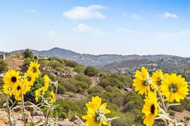13065 Via Suena, Valley Center, CA 92082 - photo 45