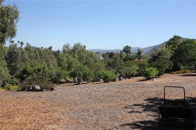 520 Woodland Hills Dr, Escondido, CA 92029 - photo 7