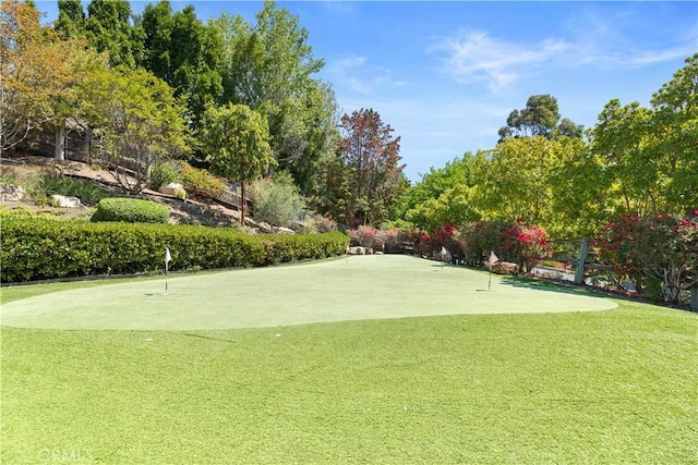 29541 Monarch Dr, San Juan Capistrano, CA 92675 - photo 46