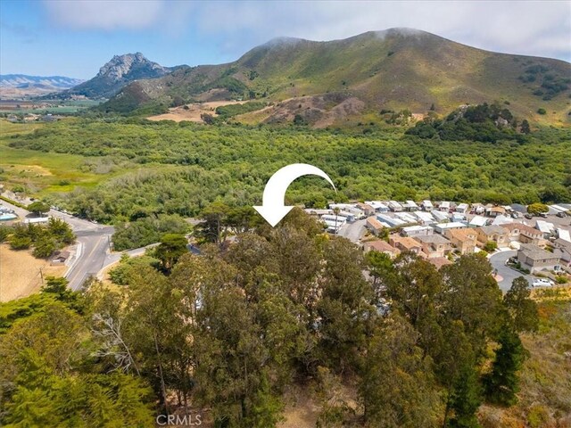 509 Quinn Ct, Morro Bay, CA 93442 - photo 45