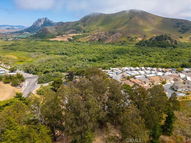 509 Quinn Ct, Morro Bay, CA 93442 - photo 46