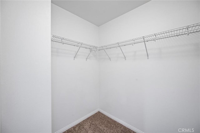 14618 Viva Dr, Eastvale, CA 92880 - photo 36