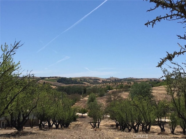 990 Akron Rd, Templeton, CA 93465 - photo 39