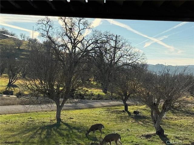 990 Akron Rd, Templeton, CA 93465 - photo 40
