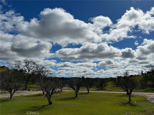 990 Akron Rd, Templeton, CA 93465 - photo 36