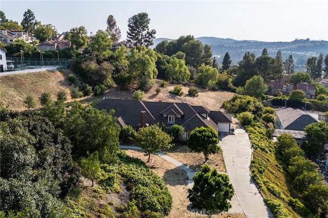 2945 Steeplechase Ln, Diamond Bar, CA 91765 - photo 67