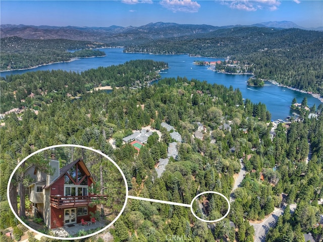27380 Oakwood Dr, Lake Arrowhead, CA 92352 - photo 4