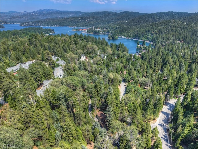 27380 Oakwood Dr, Lake Arrowhead, CA 92352 - photo 45