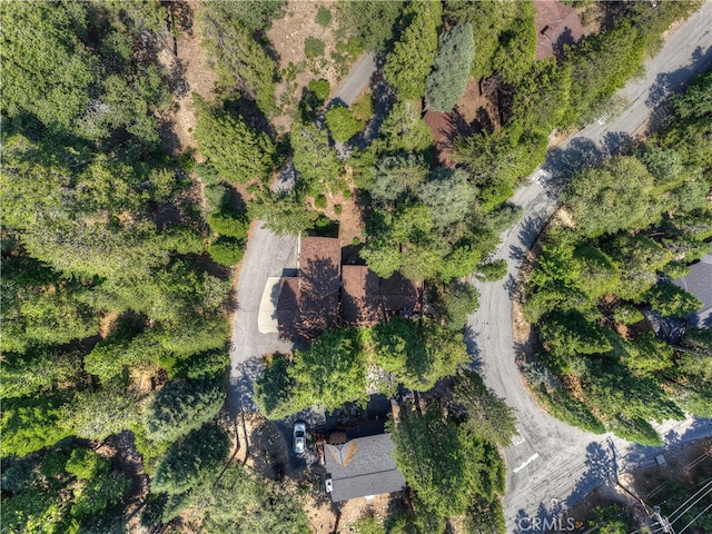 27380 Oakwood Dr, Lake Arrowhead, CA 92352 - photo 44