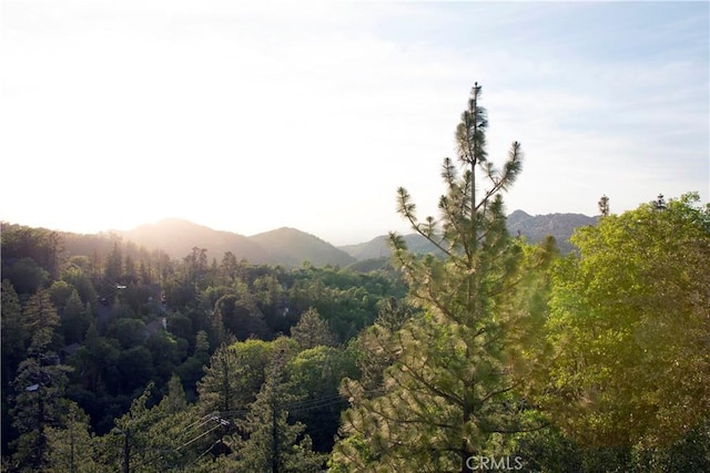 1245 Evergreen Ln, Lake Arrowhead, CA 92352 - photo 24