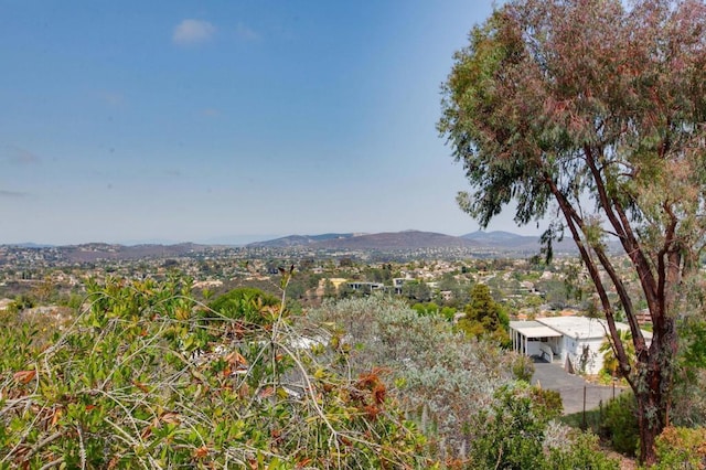 597 Via Cantebria, Encinitas, CA 92024 - photo 16