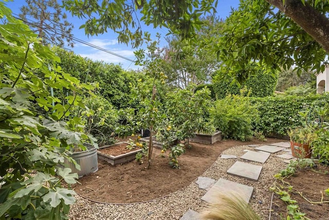 6028 Beaumont Ave, La Jolla, CA 92037 - photo 52