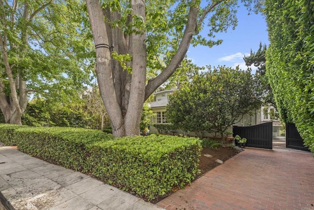 6028 Beaumont Ave, La Jolla, CA 92037 - photo 7