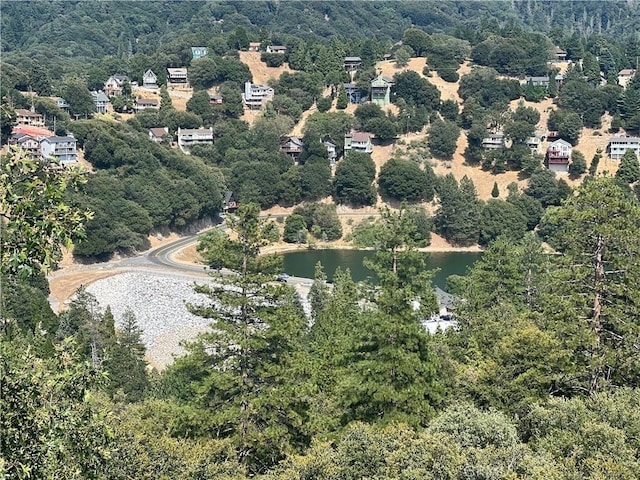 328 Wylerhorn Dr, Crestline, CA 92325 - photo 25