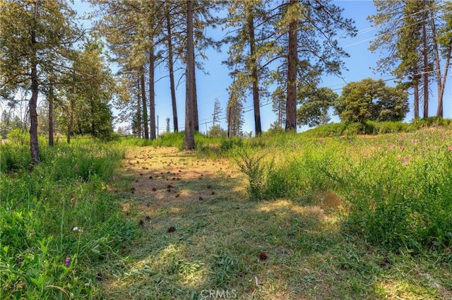 9142 Skyway, Paradise, CA 95969 - photo 12