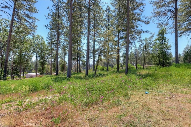 9142 Skyway, Paradise, CA 95969 - photo 11
