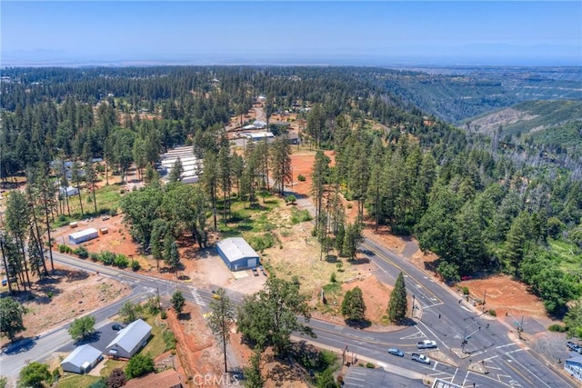 9142 Skyway, Paradise, CA 95969 - photo 6