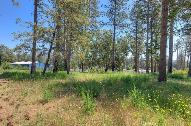 9142 Skyway, Paradise, CA 95969 - photo 9
