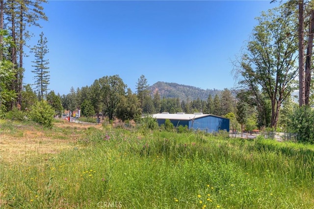 9142 Skyway, Paradise, CA 95969 - photo 10