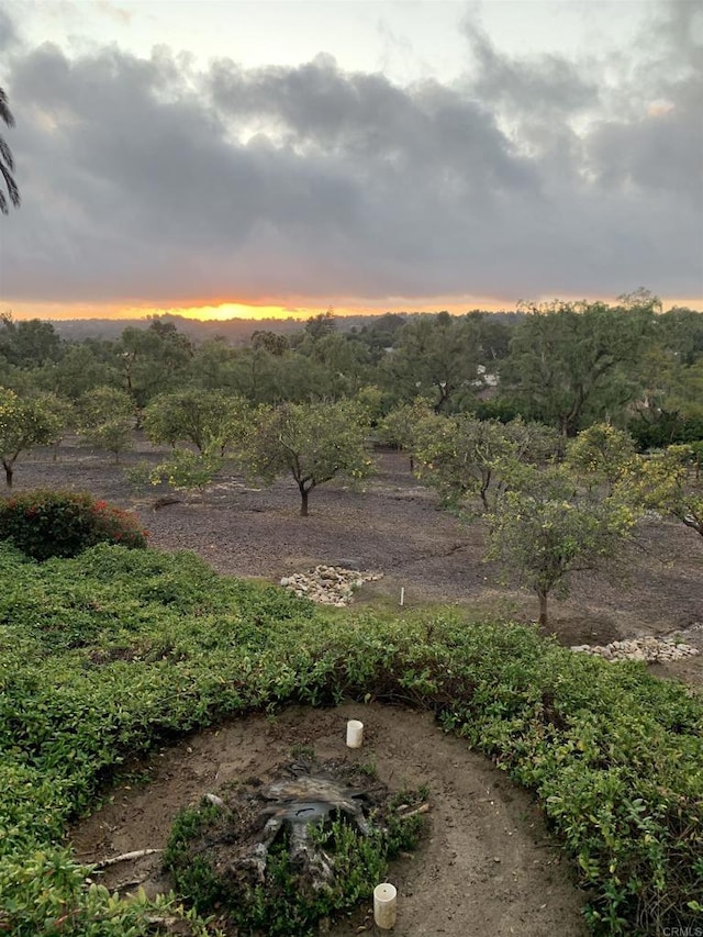 6858 Las Colinas, Rancho Santa Fe, CA 92067 - photo 25