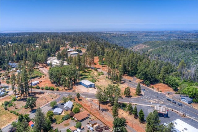 9156 Skyway, Paradise, CA 95969 - photo 8