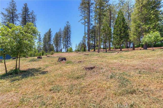 9156 Skyway, Paradise, CA 95969 - photo 13