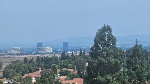 24055 Paseo Del Lago Unit 556, Laguna Woods, CA 92637 - photo 10