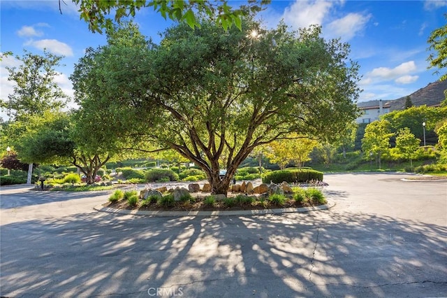 27775 Bottle Brush Way, Murrieta, CA 92562 - photo 43