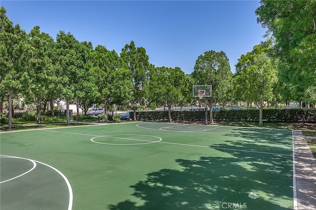 3 Mineral King, Irvine, CA 92602 - photo 43