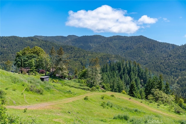 29860 State Highway 36, Bridgeville, CA 95526 - photo 35