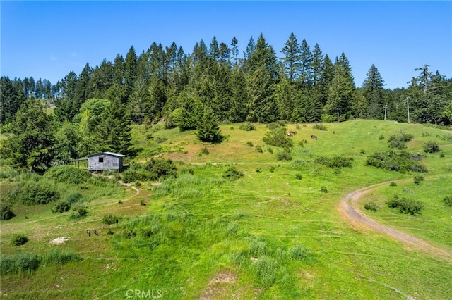 29860 State Highway 36, Bridgeville, CA 95526 - photo 21