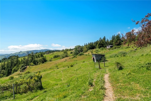 29860 State Highway 36, Bridgeville, CA 95526 - photo 29