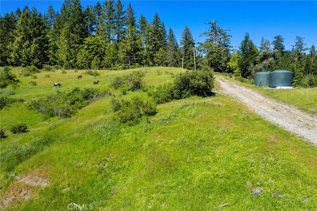 29860 State Highway 36, Bridgeville, CA 95526 - photo 19
