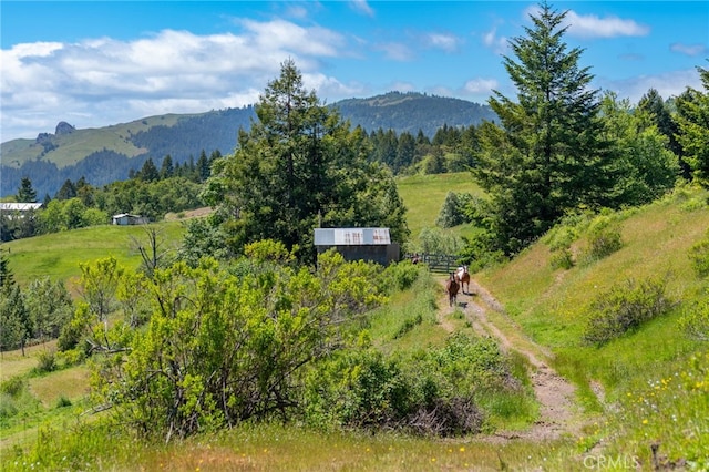 29860 State Highway 36, Bridgeville, CA 95526 - photo 17