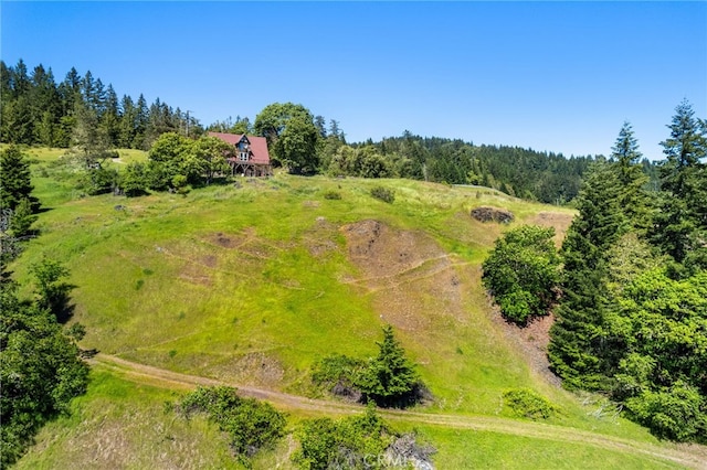 29860 State Highway 36, Bridgeville, CA 95526 - photo 11