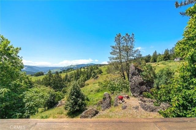 29860 State Highway 36, Bridgeville, CA 95526 - photo 45